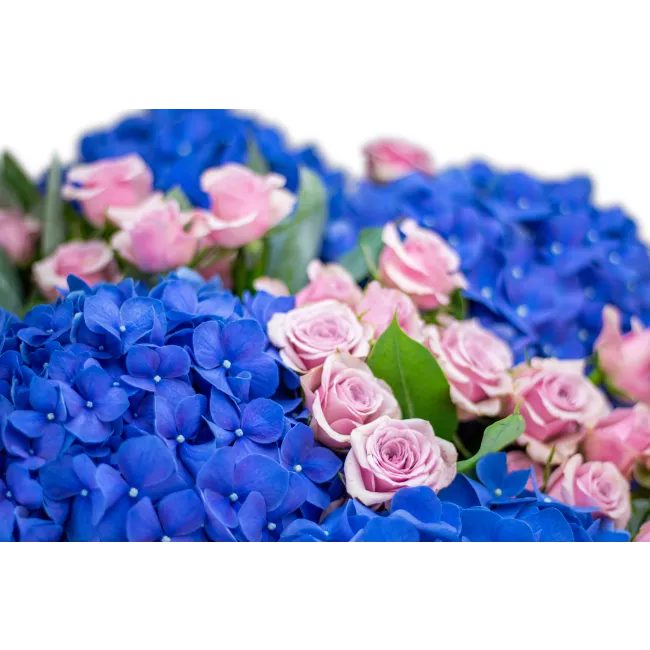 kytice hortenzií a trsových růží